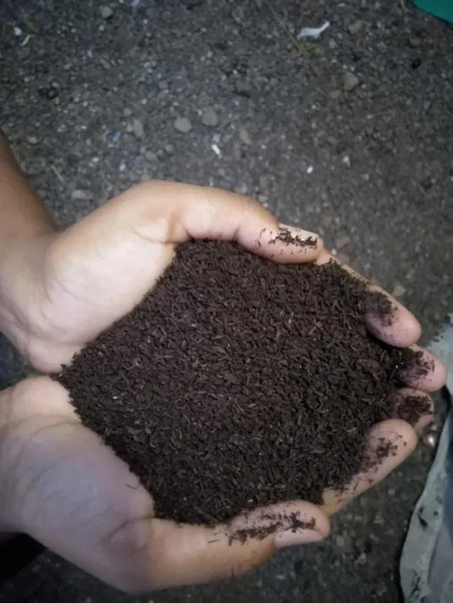 Vermicompost Fertilizer for Plants (Pack of 2) – product image 2