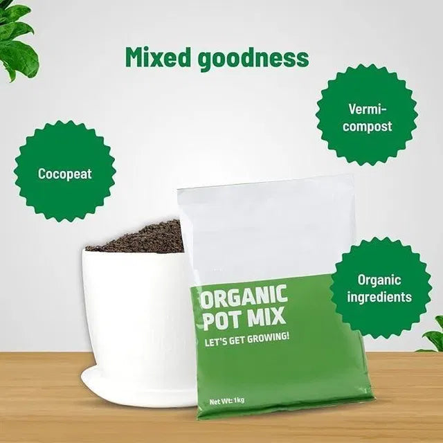 Organic Pot Mix 500gm – product image 3